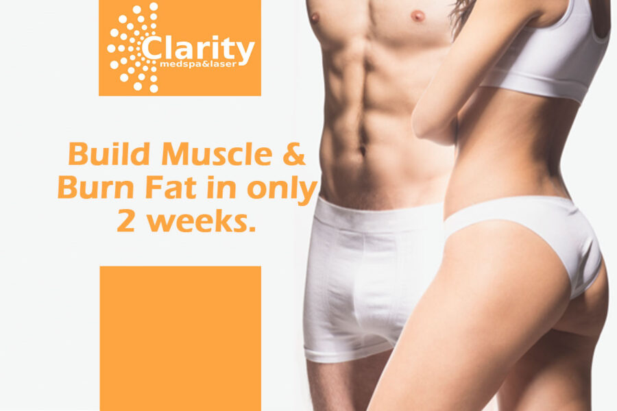 Build-Muscle-&-Burn-Fat-in-only-2-weeks